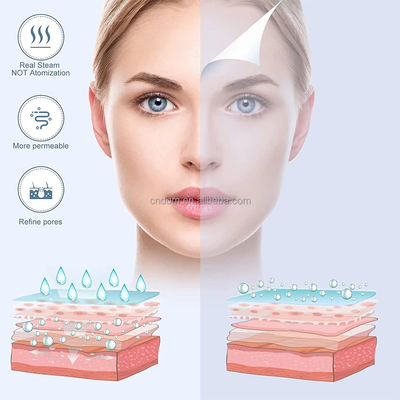 Appareil à chaud à froid esthéticienne à vapeur alimentation électrique 110-240 VAC pour salon de beauté à domicile Spa