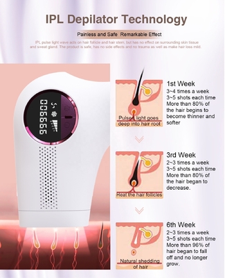 999900 Flashes Dispositif d'épilation IPL pour femmes Corps permanent Bikini Jambe bras Visage